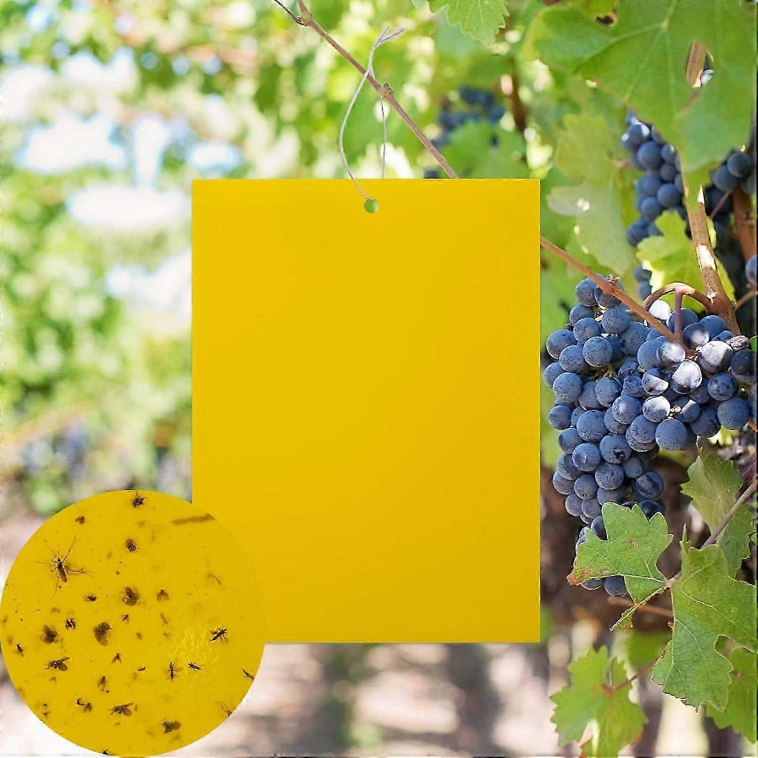 20 Pack Yellow Double-Sided Sticky Fly Traps for Fungus Gnats, Aphids, and Various Other Flying Insects Suitable for Plants (6X8 Inch with T