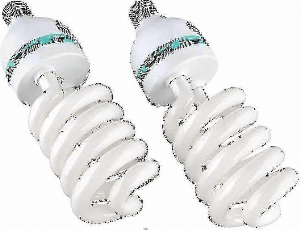 Daylight Photography E27 Bulbs, 5500K 230V, 2-Pack for Studio Lighting