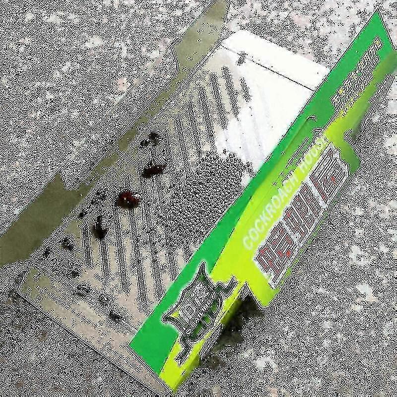 Sticky Roach Continuous Roach Home Indoor Roach