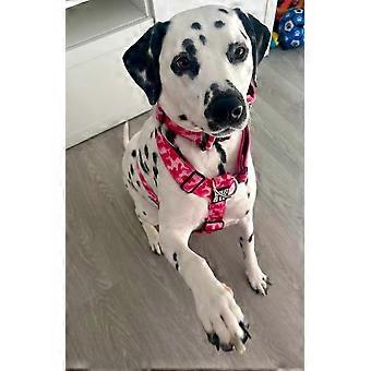 Alpha Line Harness ~ Pink Camo