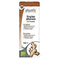 Organic Ginger Extract 100 ml