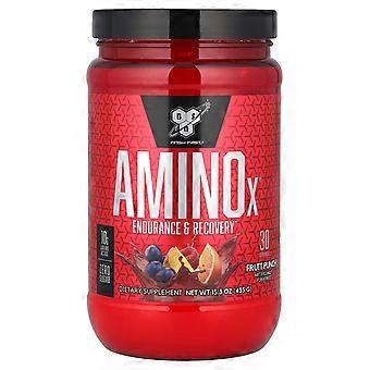 BSN, AminoX®, Endurance & Recovery, Fruit Punch, 15.3 oz (435 g)