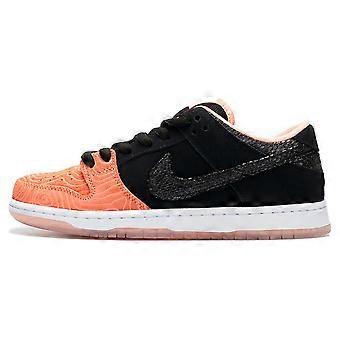 Nike SB Dunk Low Premier Fish Ladder 313170-603