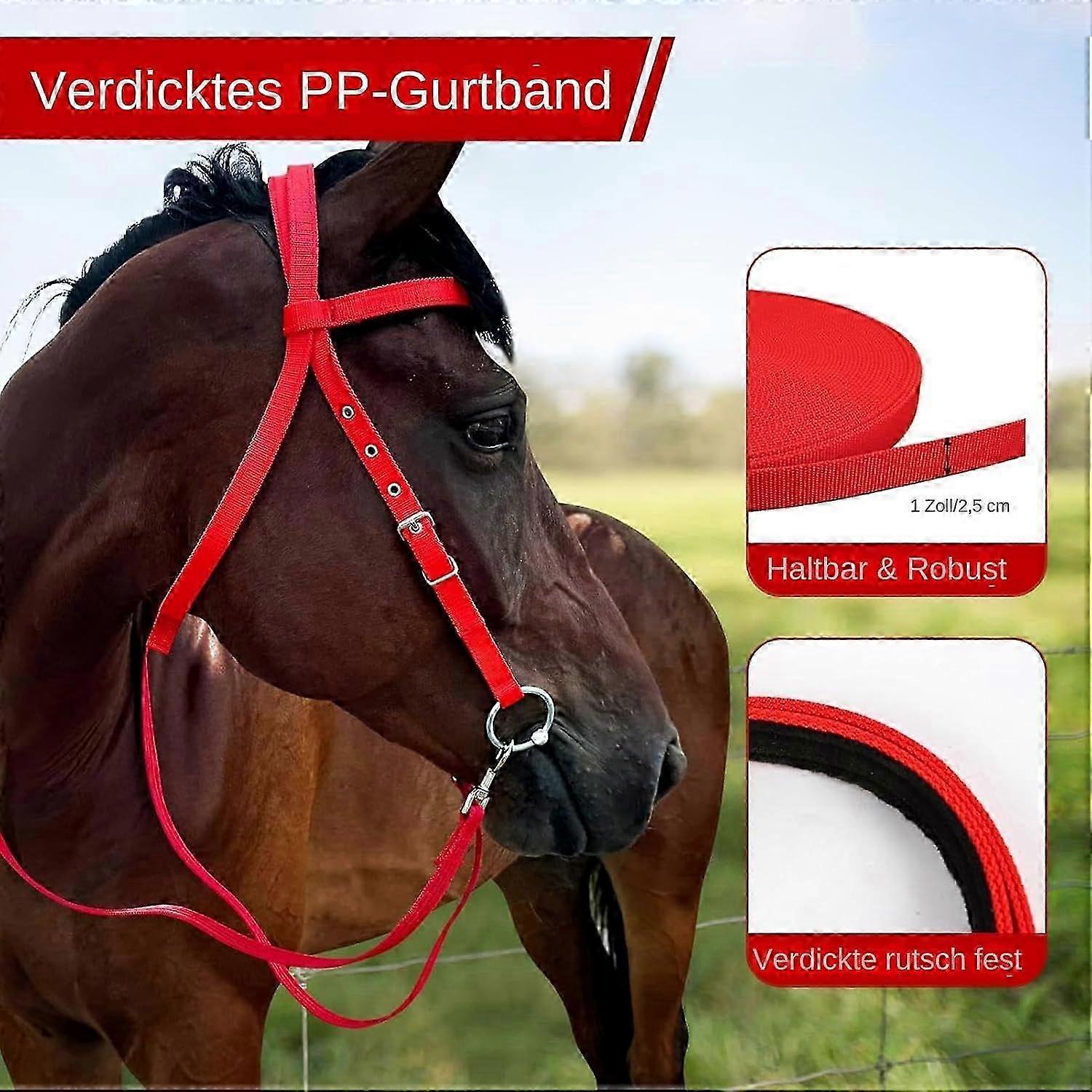 Padded Dual-Strap Snaffle Noseband