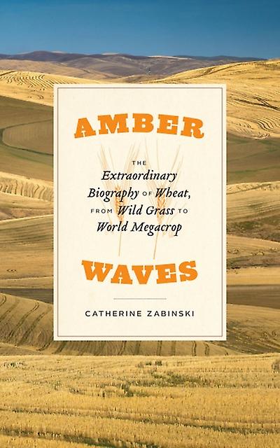 Amber Waves by Catherine Zabinski Paperback