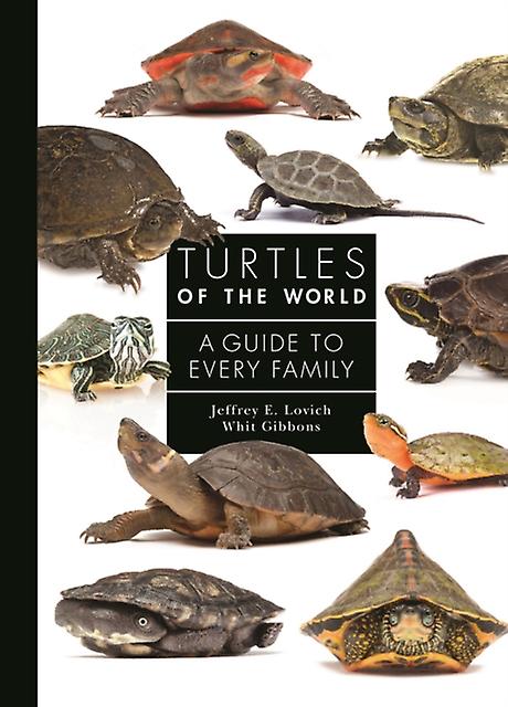 Les tortues du monde - Dr. Whit