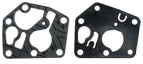 Briggs & Stratton Diaphragm Seal Kit 795083, 495770