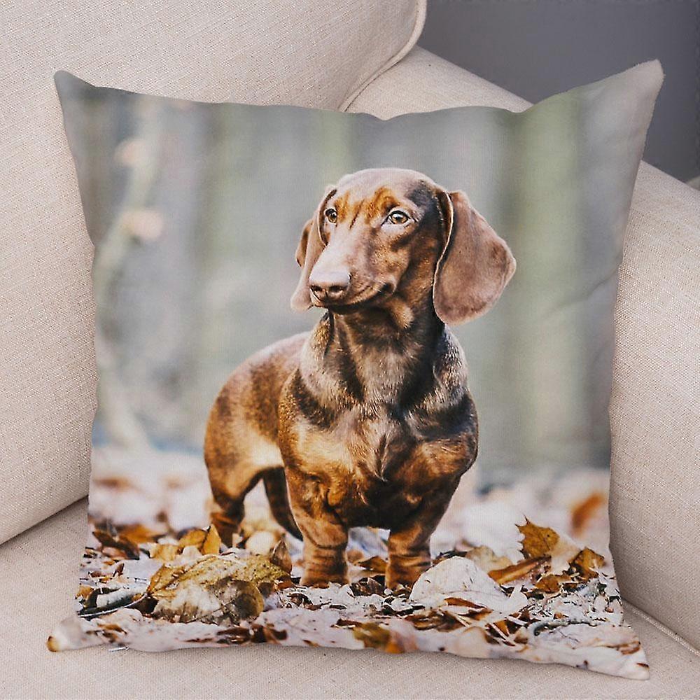 Print Pillowcase Sofa Cushion Cover Design Style -517