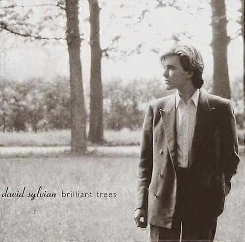 David Sylvian Brilliant Trees CD (2006)