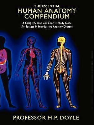 THE Essential Human Anatomy Compendium