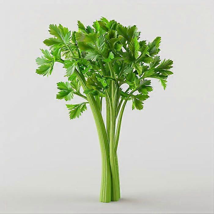 250 Celery Stick Seeds - SemiWild Permaculture