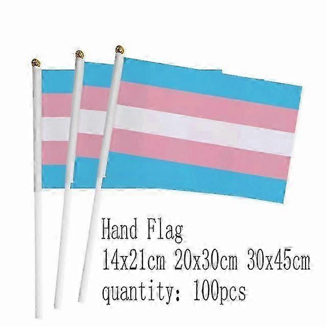 zwjflagshow LGBT κοντάρι σημαίας χεριών 14x21cm 100τμχ LGBT τρανσέξουαλ τρανσέξουαλ χέρι υπερηφάνειας Σημαία ουράνιου τόξου σημαία με πλαστικό κοντάρι σημαίας