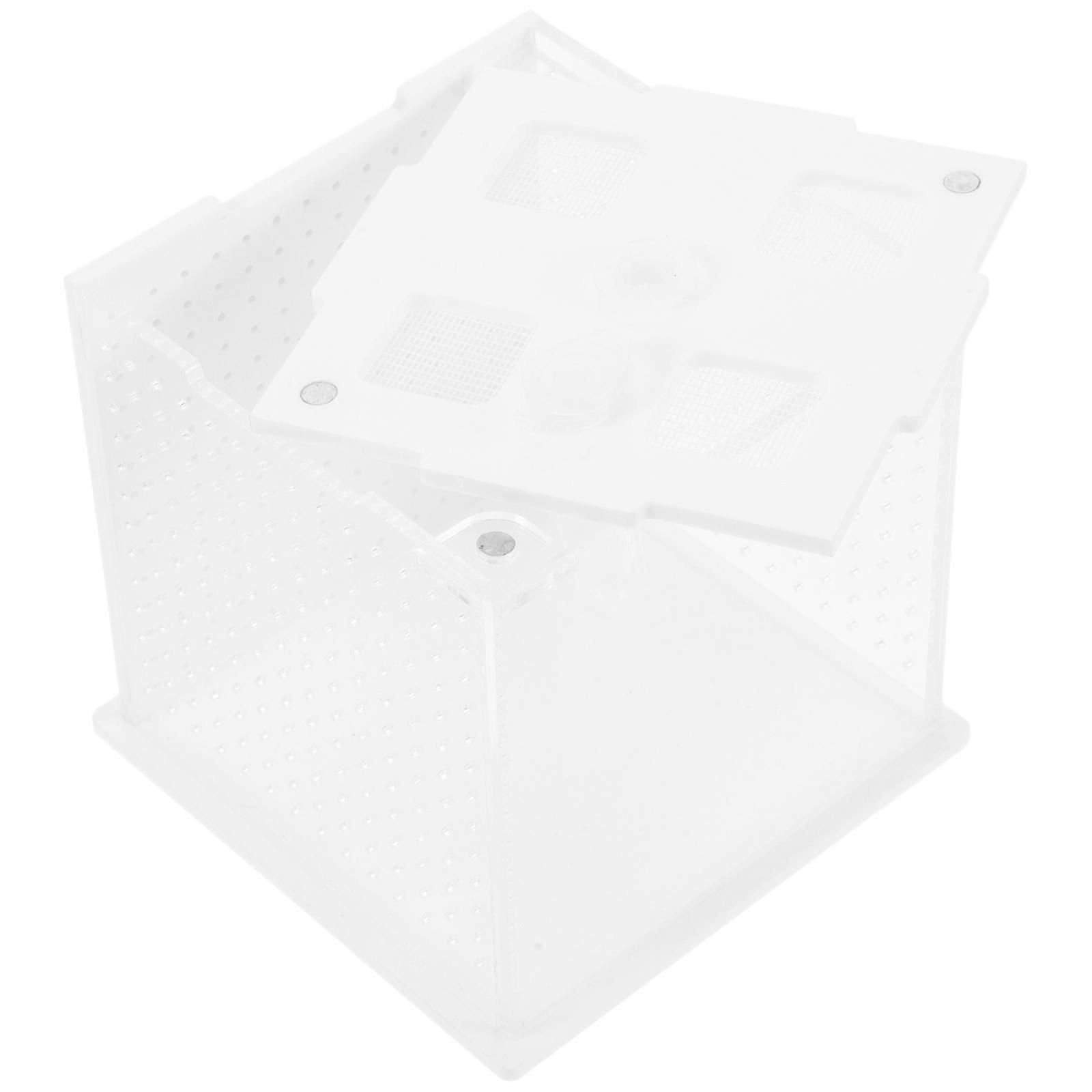Clear Reptile Breeding Enclosure for Mantises & Sticks – Easy Setup Transparent Terrarium for Feeding, Growth & Observation – Ideal for Beginners &