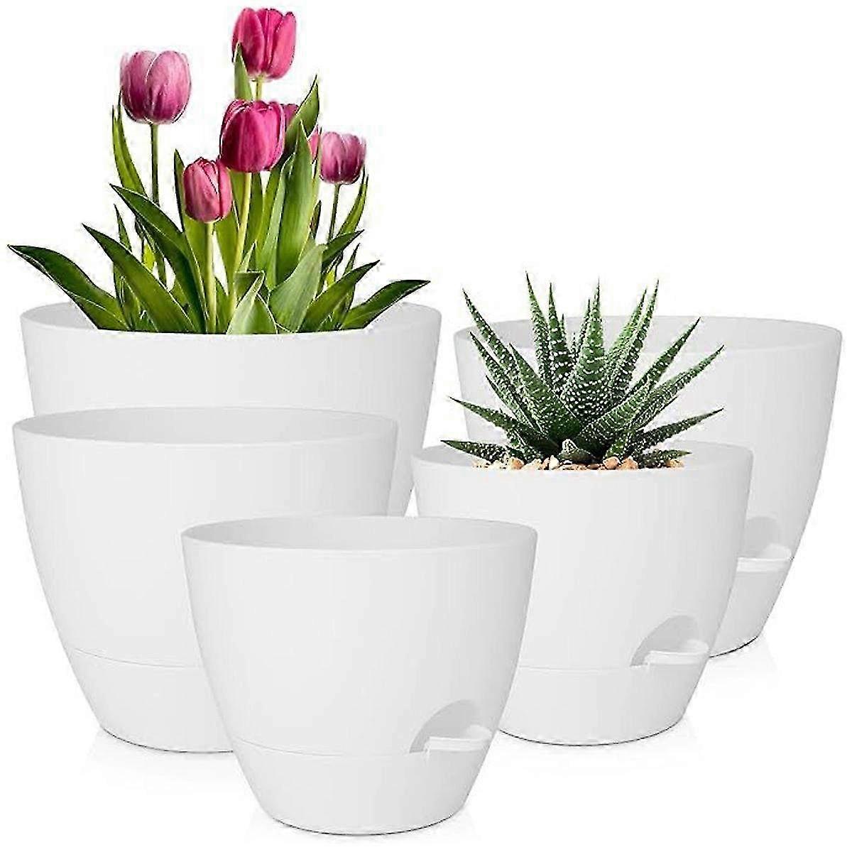 Self-Watering Flowerpot for Indoor Plants - Automatic Watering System for Succulents & Cacti - Eco-Friendly Plastic Planter