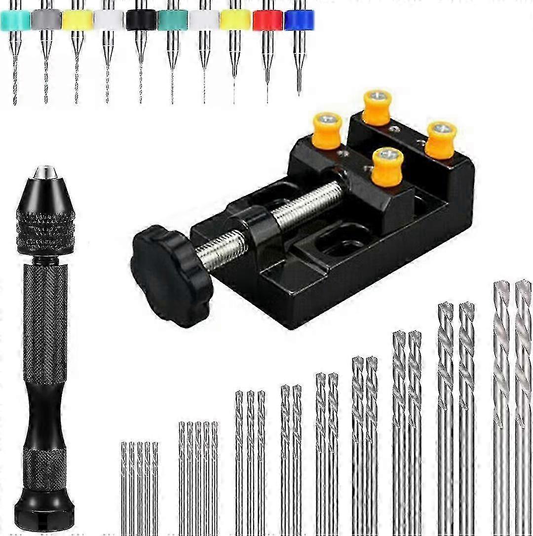 Hand Drill Tool Set Include Pin Vise Hand Drill With Miniature Dril...