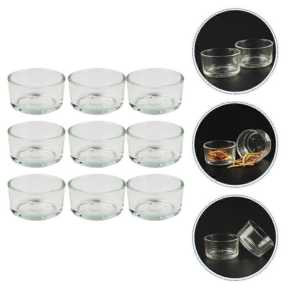 Reptile Food Holder Glass Basin for Tortoise Feeding 27 Pieces