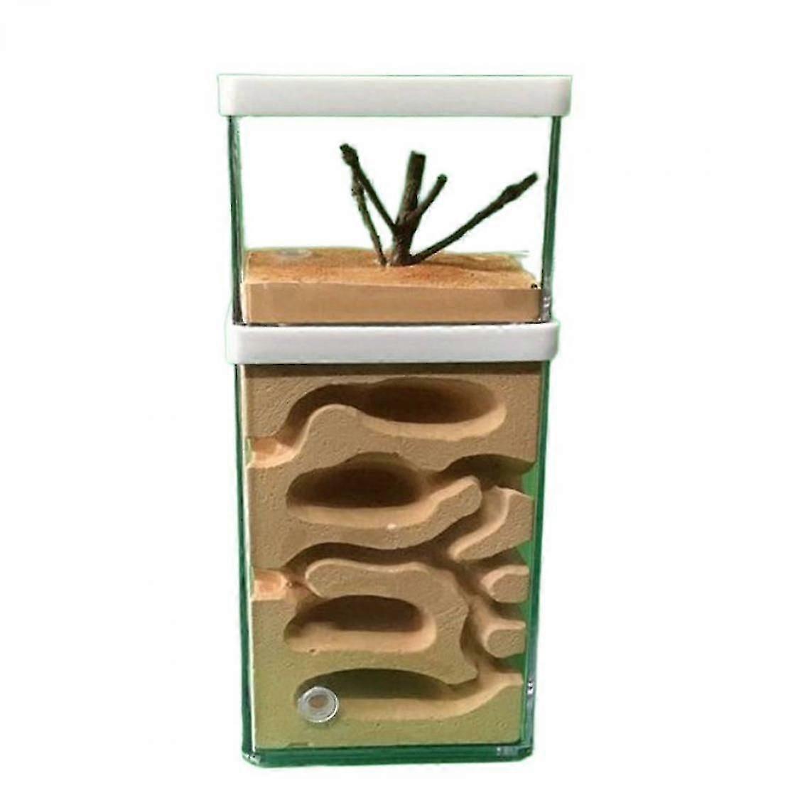Plaster Ant Farm, Natural Ecology, Large Ant Nest, Insect Castle, Workshop, Pet Anthill, Anthill And Feeding Area.