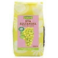 Organic Raisins 500 g