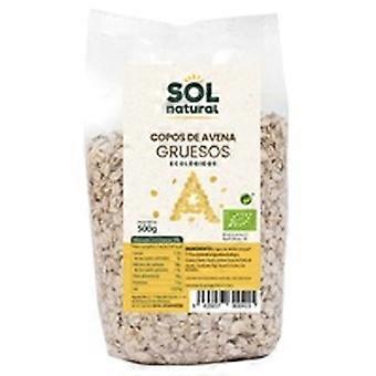 Bio thick whole grain oat flakes 500 g