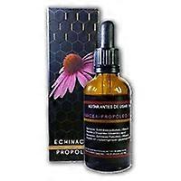 Echinacea-Propolis Extract 50 ml
