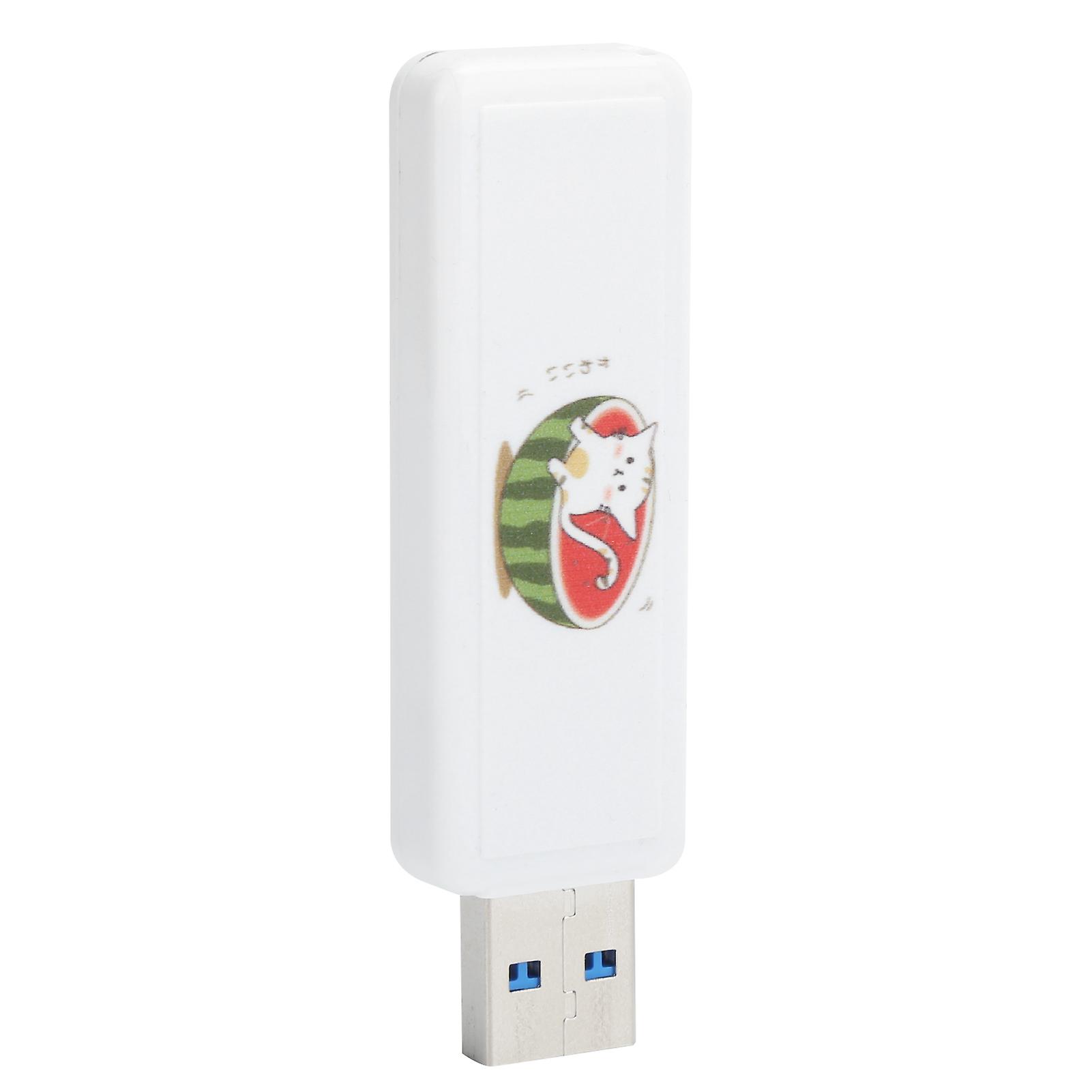 Watermelon Cat 32GB USB 2.0 Push-Pull Flash Drive Memory