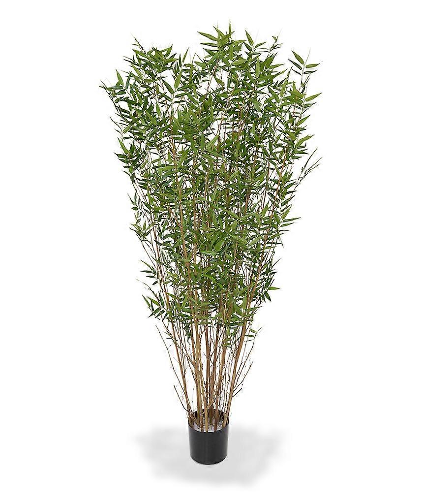 Bambustræ (160 cm)