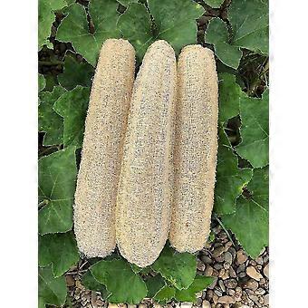 Natürliches Bad Luofahs Schwämme Große Bio Luffa Duschschwämme Haut Körper Rücken Peeling Wäscher für tägliche Körperpflege (3 Pack)