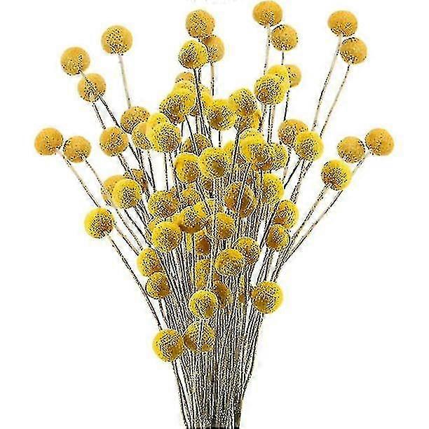 40 s getrocknet Craspedia Button Fl Bouquet