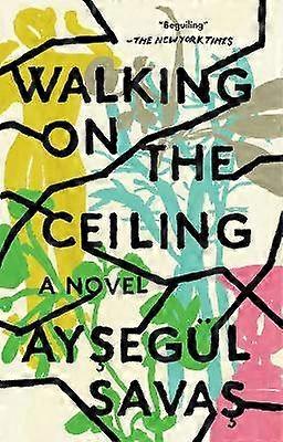 Walking on the Ceiling