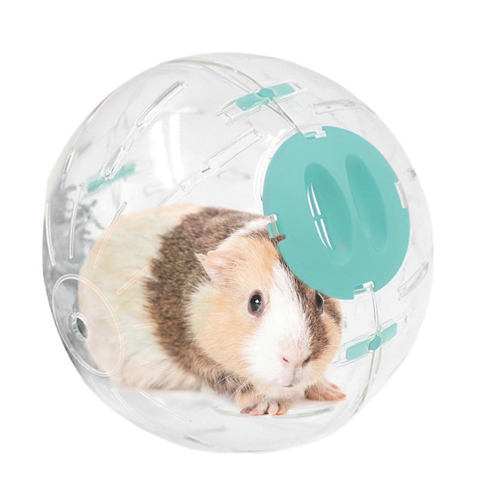 Dwarf hamster ball, interactive transparent cage, small pet accessory, blue, 16 cm