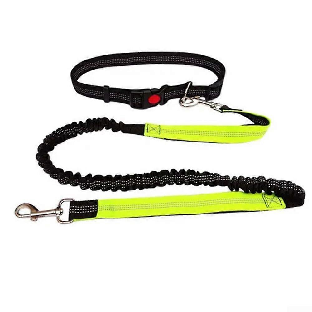 Allinone Nylon Dog Leash for Various Activities, Adjustable Pull Rope Belt (Green)
