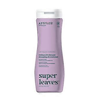 Attitude Super Leaves Shampoo - Moisture Rich 240ml - 3 Pack