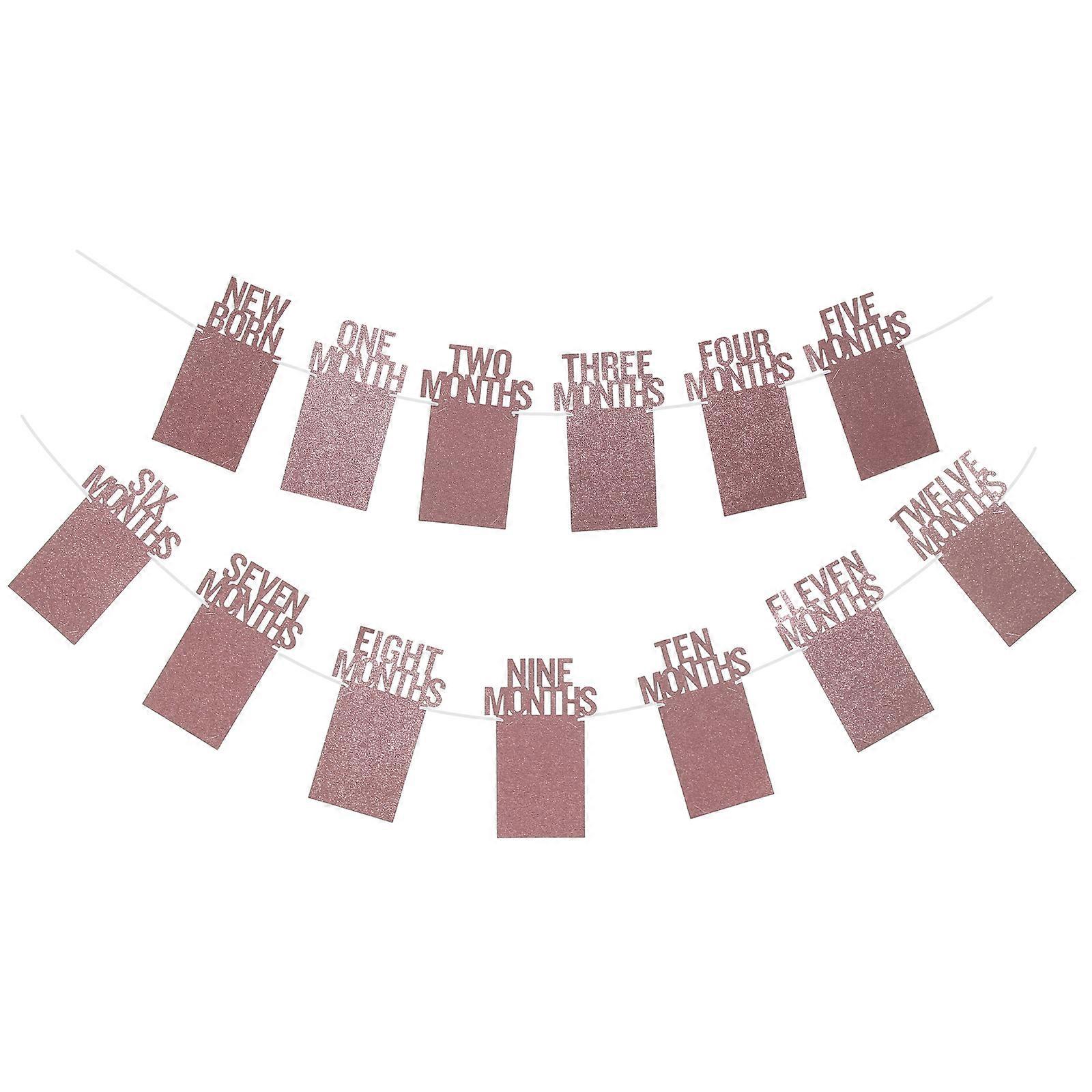 Baby Photo Banner DIY Picture Frame String for Decor 2Sets Rose Gold
