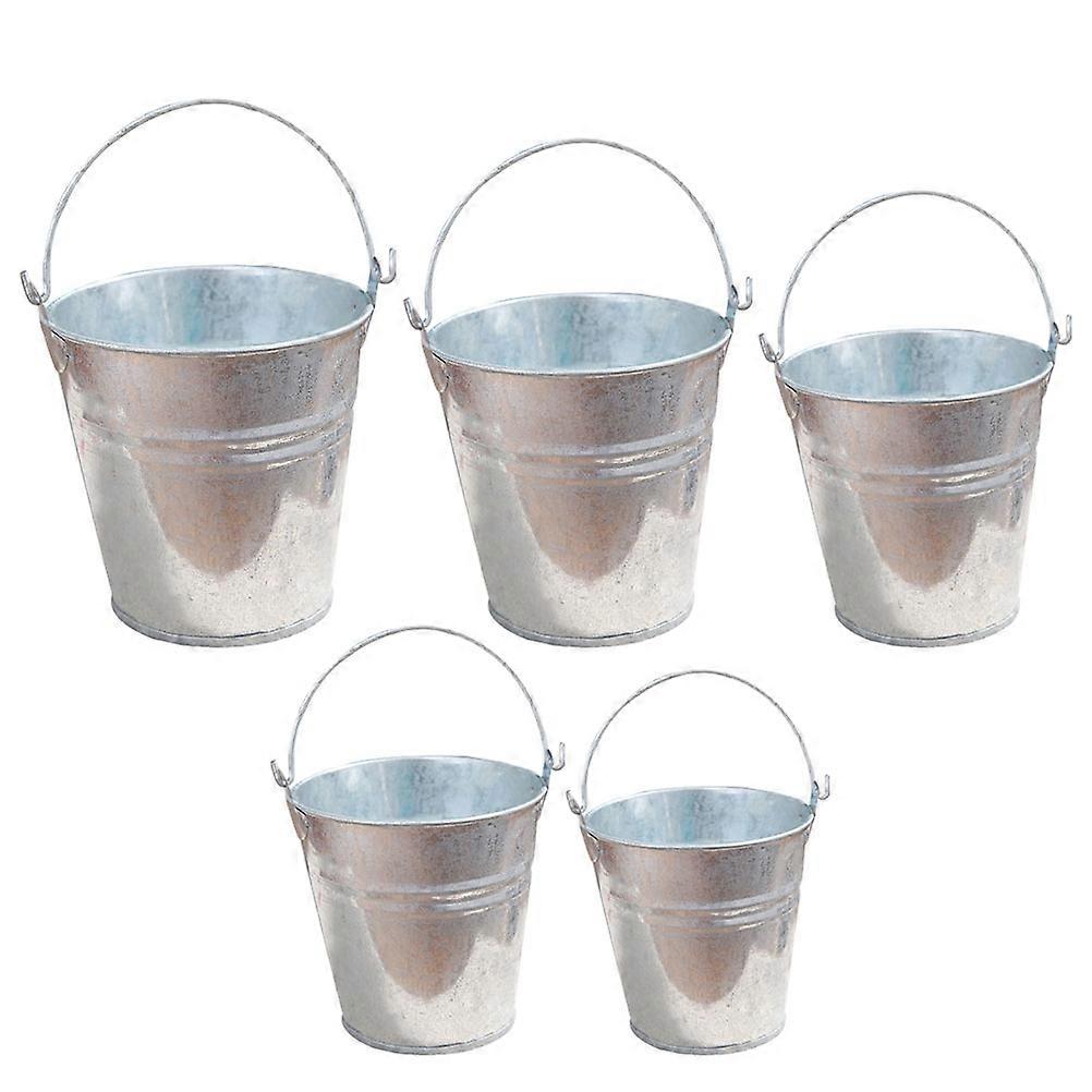 Galvanized Decorative Flower Pot Multi-Function Mini Bucket Household 10Pcs