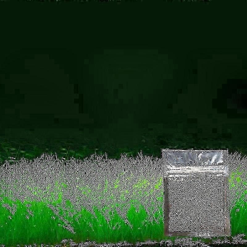 새로운 수족관 장식 식물 씨앗 어항 조경 장식 물 잔디 씨앗 성장하기 쉬운