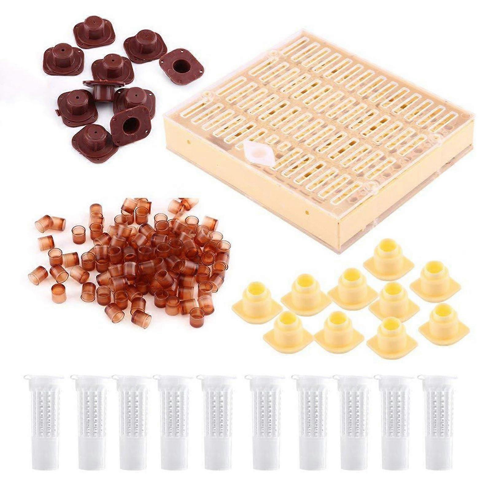 Acrylic Queen Rearing Box for Beekeeping, Efficient Breeding Tool Boosts Hive and Colony Growth