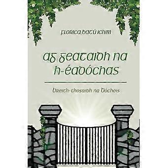 Ag Geataidh na h-Éadóchas: Breith-thosaidh na Dóchais (edizione in gaelico scozzese)