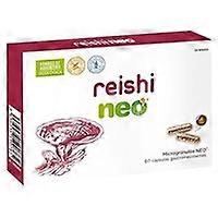 Organic Reishi 60 capsules