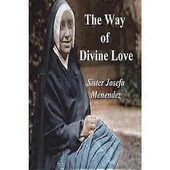 The Way Of Divine Love Or The Message Of The Sacred Heart To The World And A - Sister Josefa Menendez - Paperback - en Book