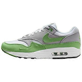 Nike Air Max 1 Patta 20th Anniversary Chlorophyll HF1012-300