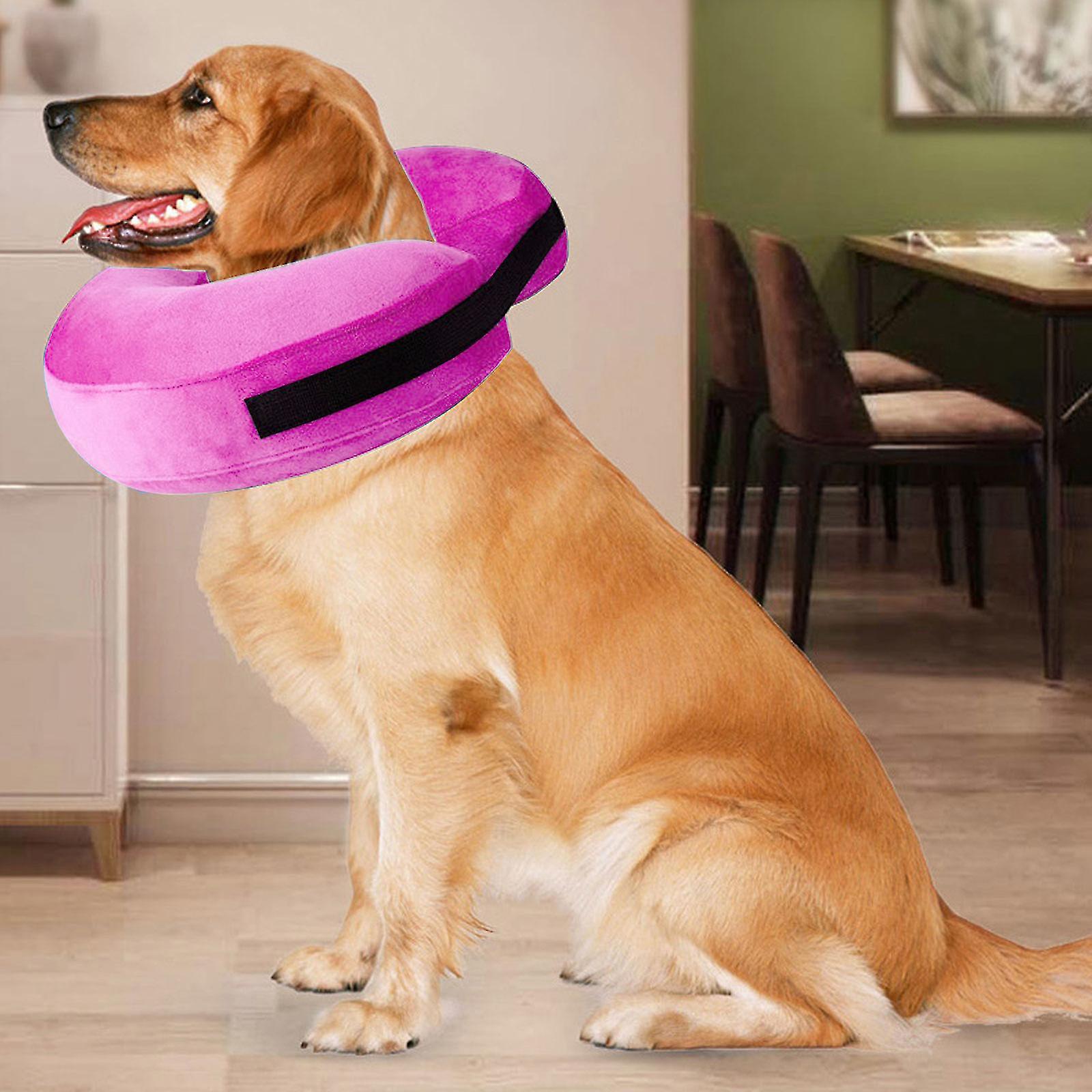 Neck Pillow Diy Cone Of Shame For Dog Neck Pillow Homemade Dog