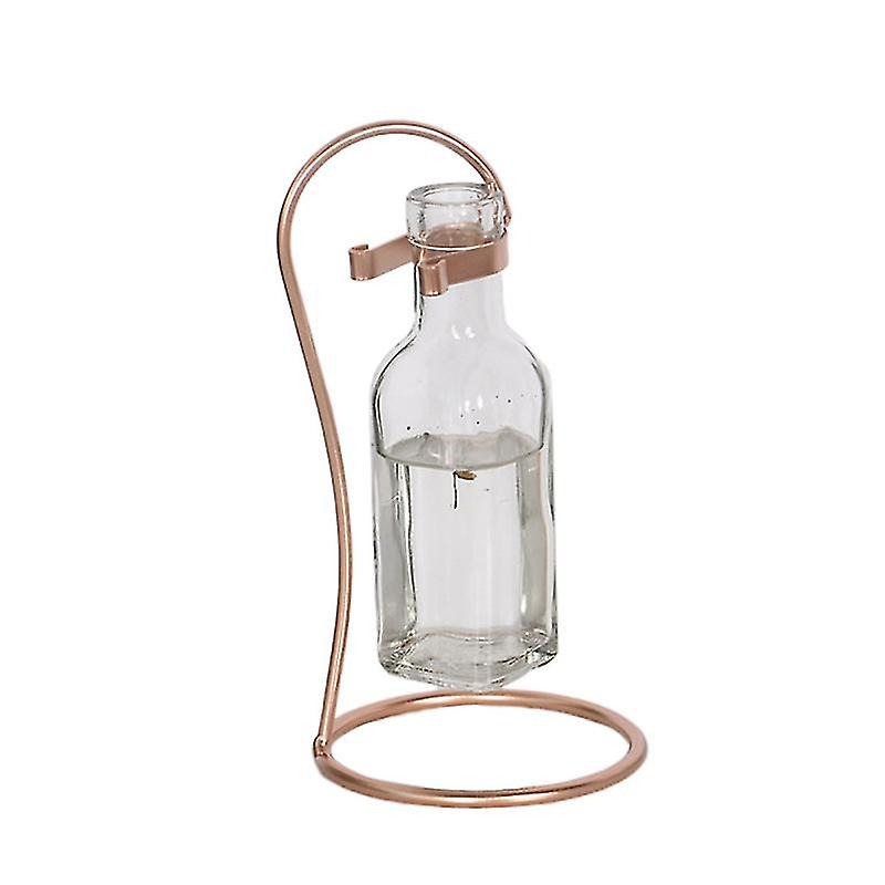 1pcs Water Planting Vase