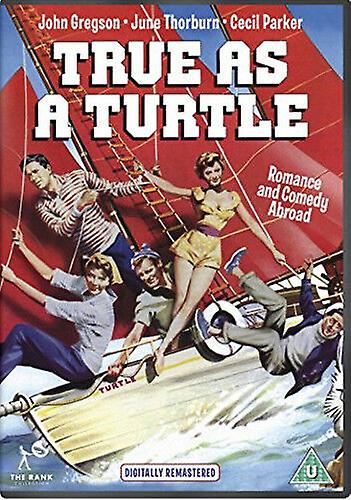 True As a Turtle DVD (2016) John Gregson Toye (DIR) cert U NOUVEAU - Région 2