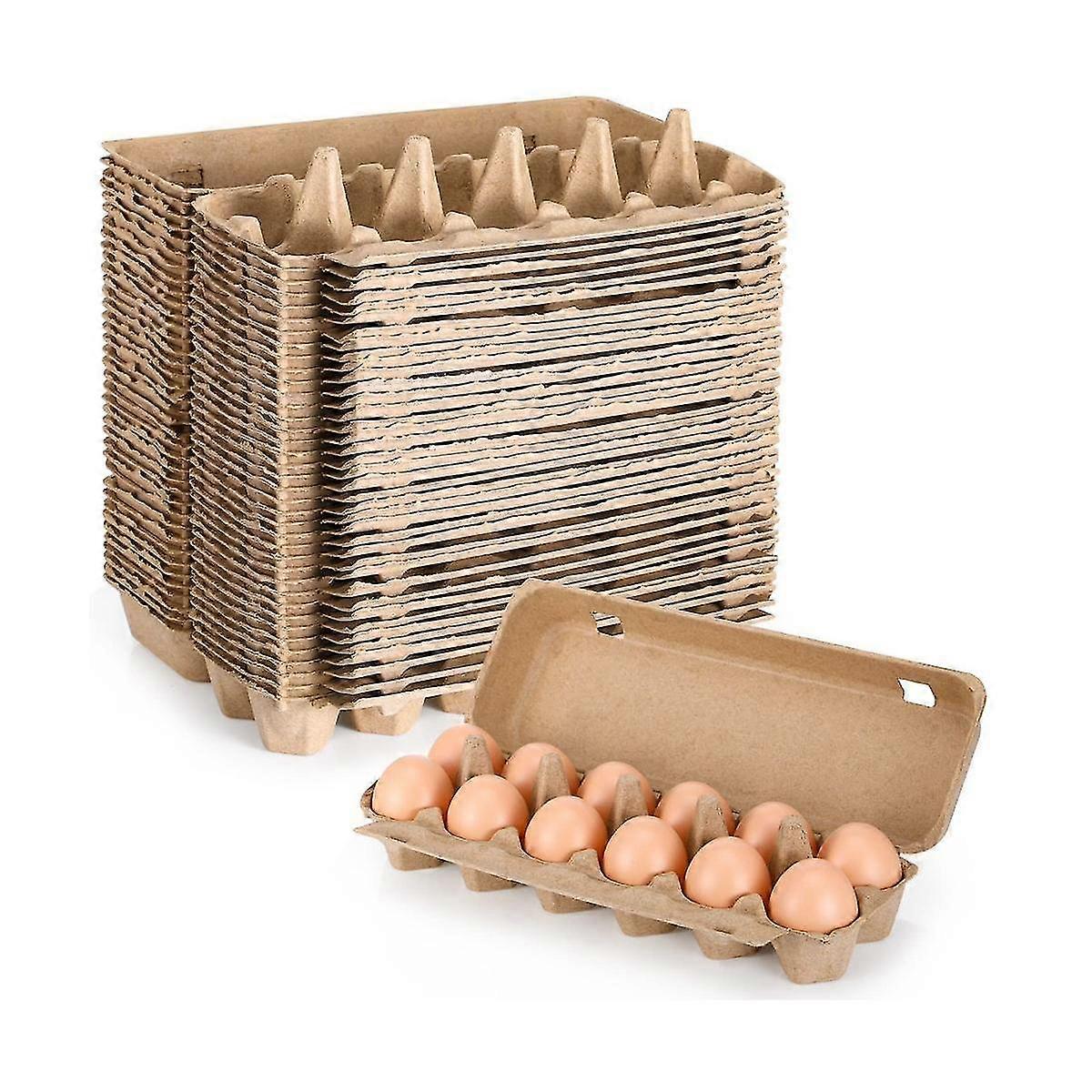20pcs Cardboard Egg Cartons Blank Paper Pulp Egg Cartons One Dozen Egg Cartons Container Empty Egg