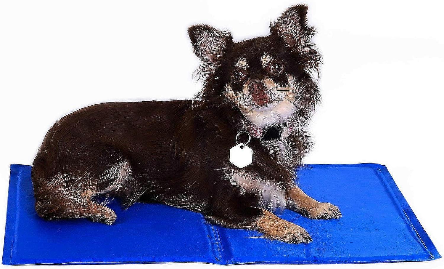 Pet mat 50x40 cm blue