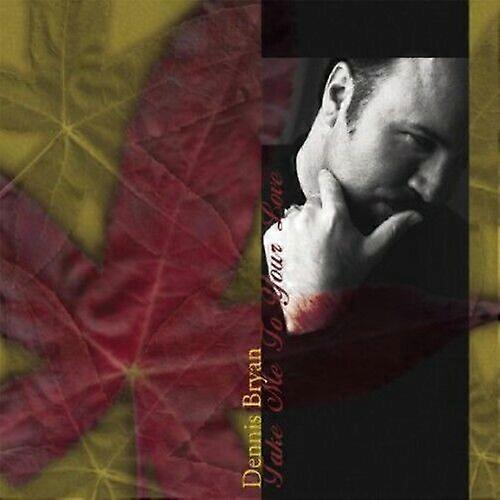 Dennis Bryan Take Me to Your Love CD