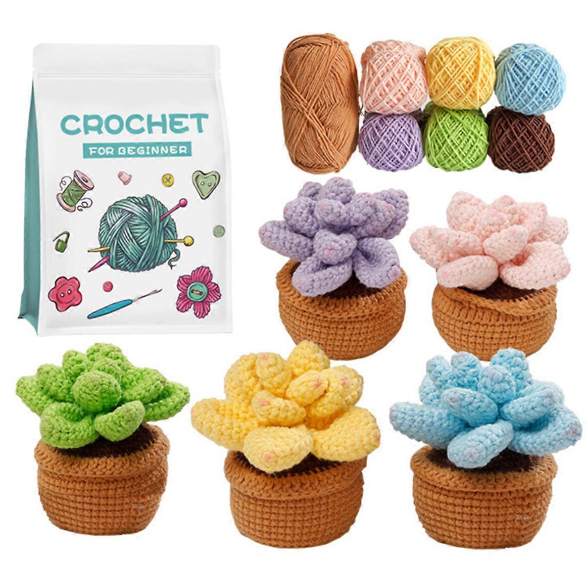 Crochet Kit, Starter Kit, Hooks, Yarn, Instructions