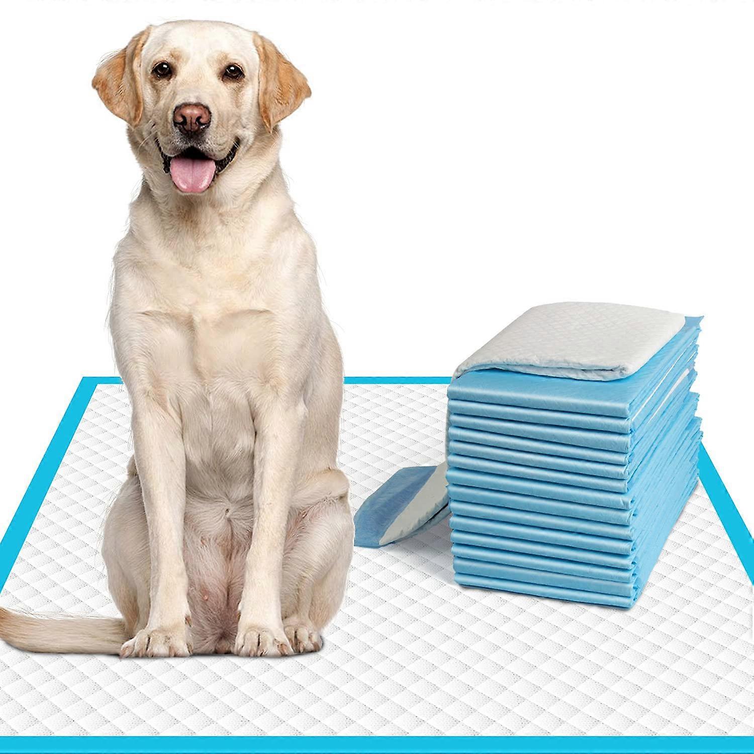Dog Pee Pads Extra Large 28'x34', X-Large Puppy Training Pee Pads Super Absorbent & Leak-Proof
