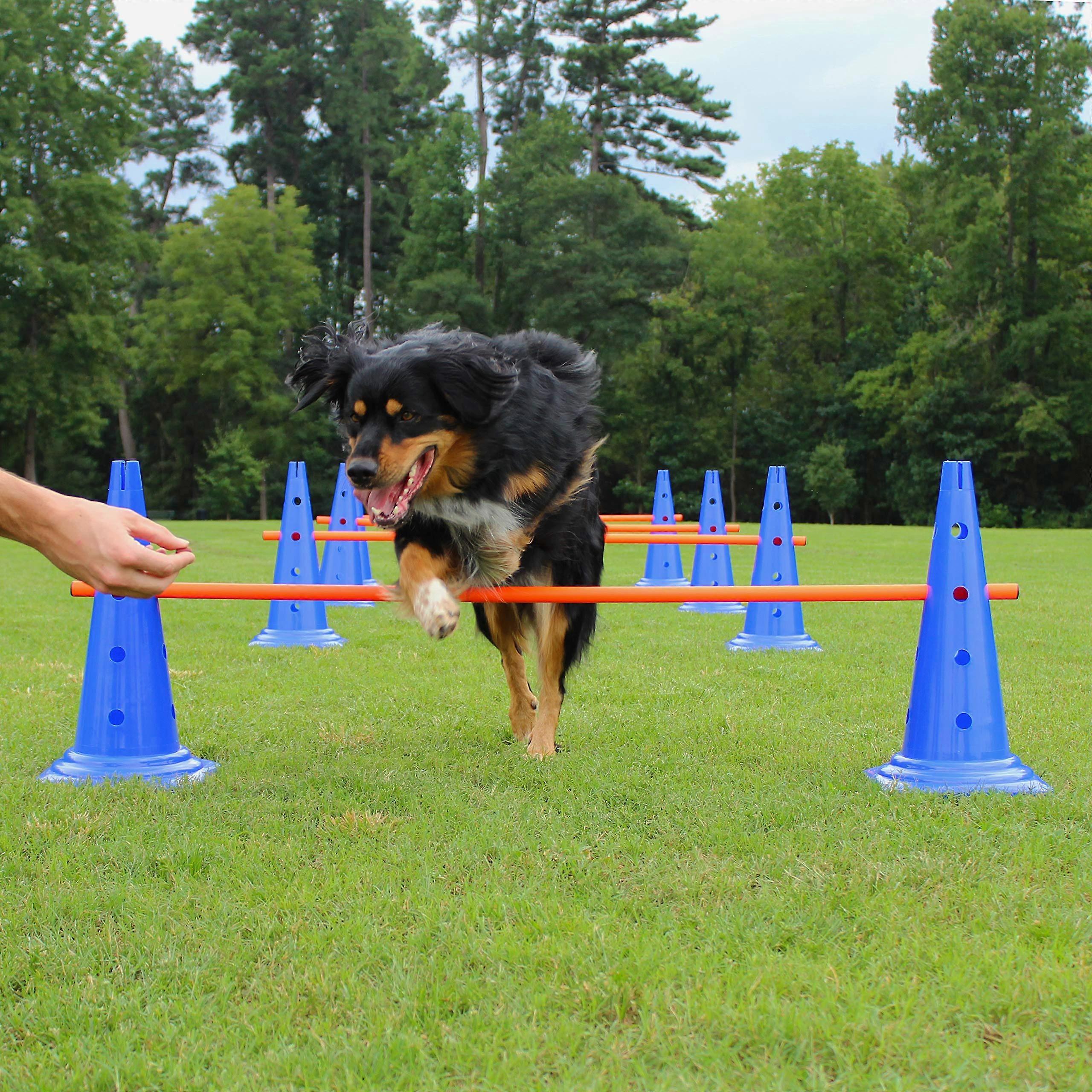 Dog Agility Hurdle Cone Set – 8 Adjustable Cones and 4 Durable Rods for Training, Obedience, and Rehabilitation