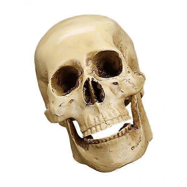 2X Gothic Replica Carving Model Skull Figurine Human Head Model Decor